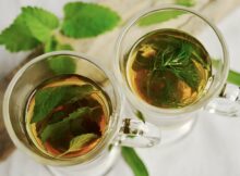 peppermint tea vs green tea